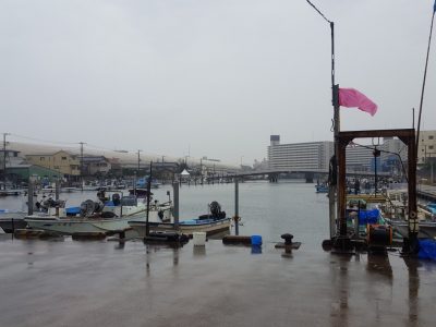 船橋漁港の朝市会場から海を望む